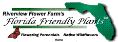 Riverview Flower Farm